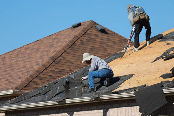 Best Asphalt Shingle Roofing  in Mebane, NC